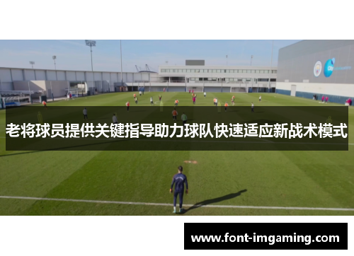 老将球员提供关键指导助力球队快速适应新战术模式